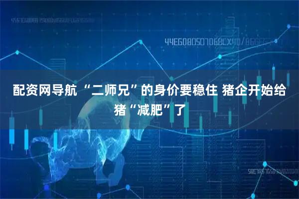 配资网导航 “二师兄”的身价要稳住 猪企开始给猪“减肥”了